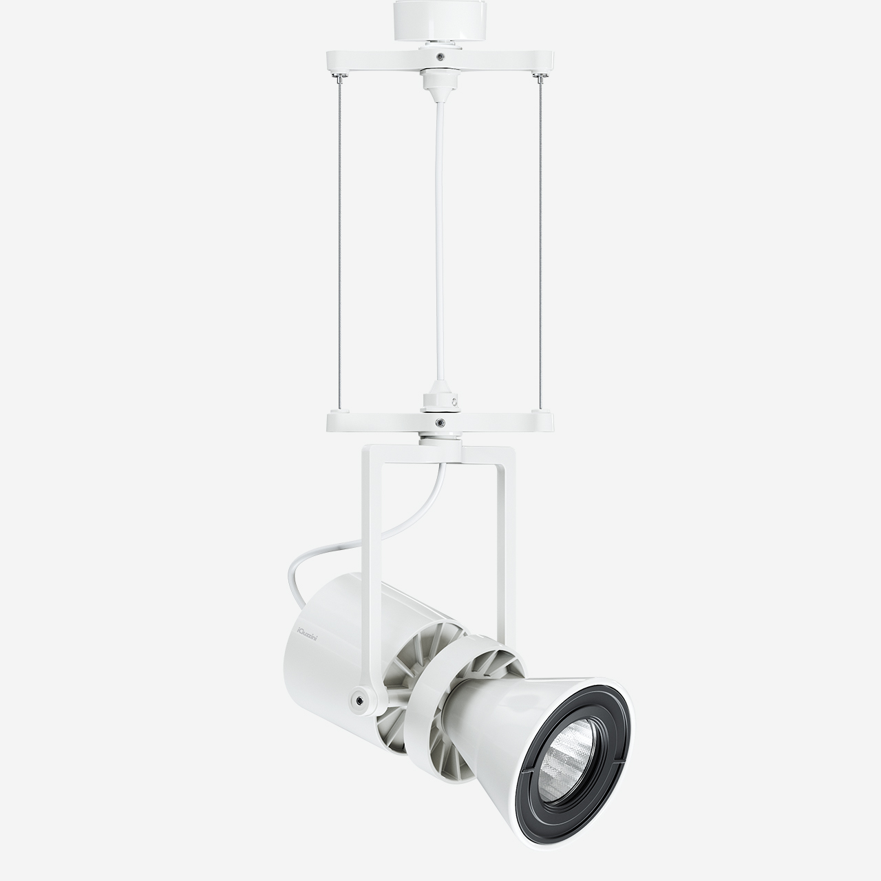 Le Perroquet surface ø80mm pendant